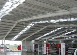 steel structure shed for cow breeding